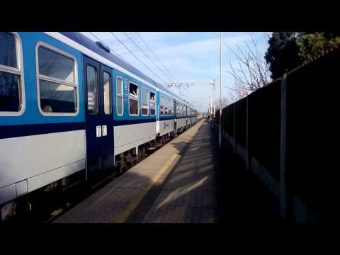 OS 8663 včele sysel Ivanka a 163.061