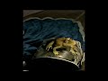 Shrek 2 Frog King 2004 VHS Capture