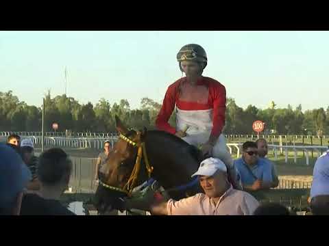 CARRERAS SINT FLORIDA - 221124 c09 1° MIGHTY BOY (BRZ)