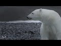 Vangelis Theme From Antarctica