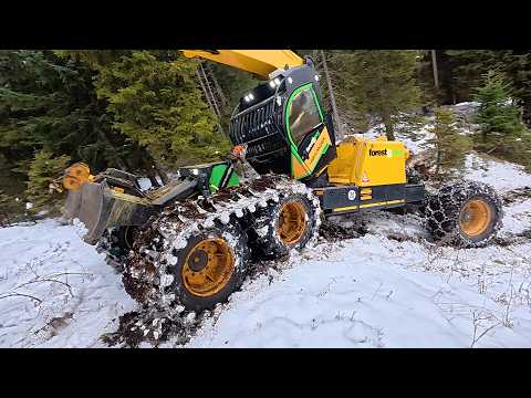 🌲 powercutting 🌲 forest peg - Husky 564 XP [ 4 : # ]