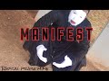 Official Mime Video: Manifest | T. D. Jakes (Radical Praise Mime)