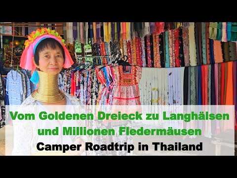 From the Golden Triangle to long-necked bats and millions of bats - a campervan road trip through...