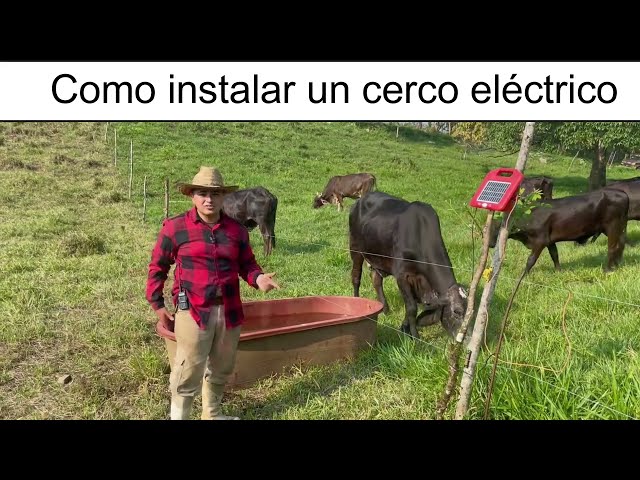 Vídeo relacionado con Forever Speed 12 Piezas 30CM en Forma de U Estacas de Tierra, Anclajes de Tierra de Acero galvanizado Tienda de campaña Clavijas trampolín Ganchos para asegurar la Cerca, Tiendas, toldos