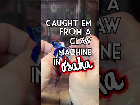 Random Rip - Pokemon Japan - M4 - Ninja Spinner - Card Opening