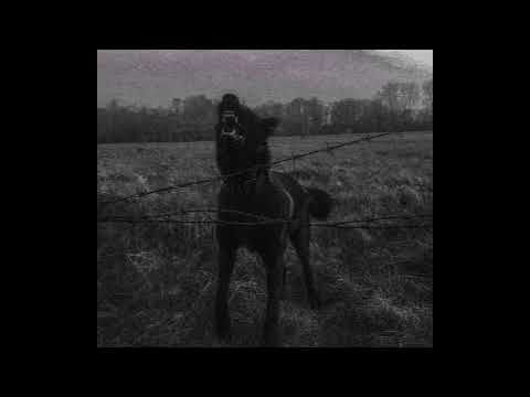 (FREE) Future x Drake Type Beat (HARD) - "LAST CHANCE"