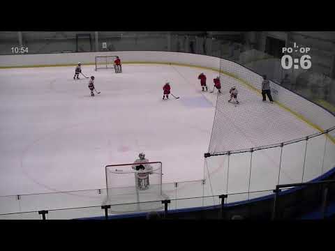 HC RT Torax Poruba - HC Slezan Opava 3.3.2019, ročník 2010