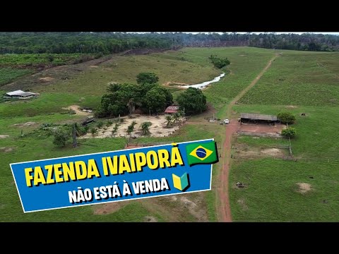 🔰 Fazenda Ivaiporã em Rorainopolis -RR