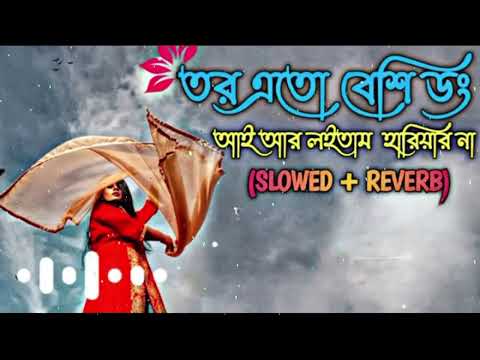 তর এতো বেশি ডং | Tui ja Choli ja [ তুই যা চলি যা ] | Slowed + Reverb | lo-fi song🥀😇