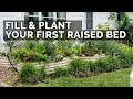 How to Fill, Fertilize, Plant, AND Mulch a Raised Bed from START to FINISH