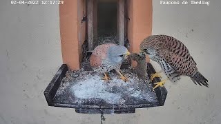 Ein Tag voller Geschenke