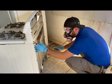 A Bad Cockroach Infestation in the Kitchen in Little Silver, NJ