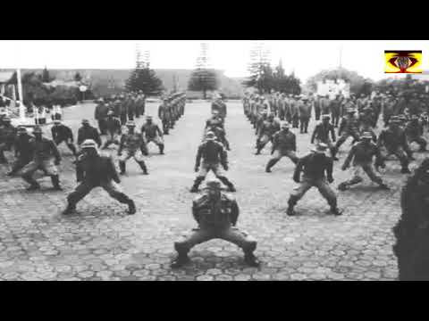 Funny Army Jerusalema Dance Challenge #2 Master KG ft. Nomcebo #solders