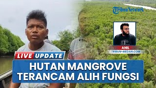 Hutan Mangrove Langkat Terancam Punah, Warga Besitang Khawatir Dampak Kebun Kelapa Hibrida