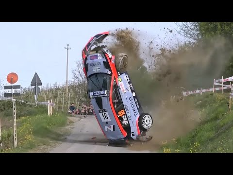 Best of Rally 2024 | BIG CRASHES & FLAT OUT!