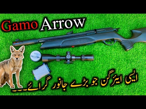Gamo Arrow .22 Cal PCP Airgun|No Regultor PCP Airgun|Full Details In Hindi|AirHunter PK