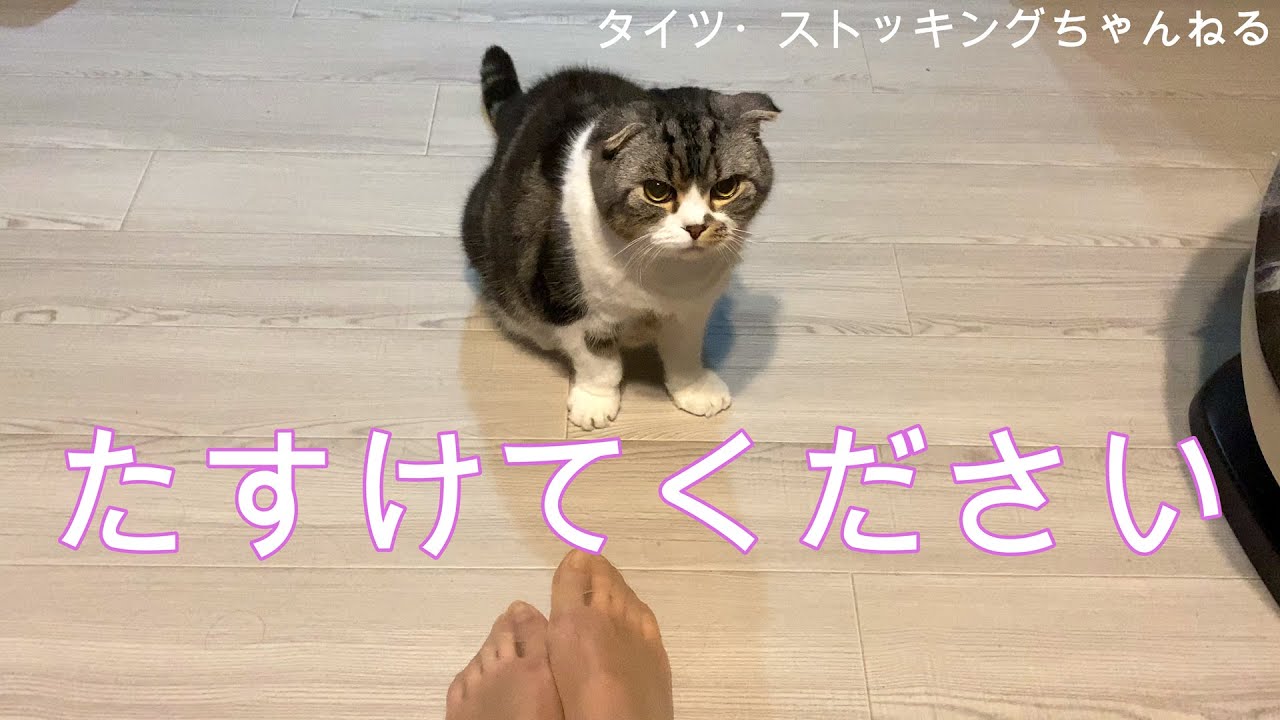 たすけてください