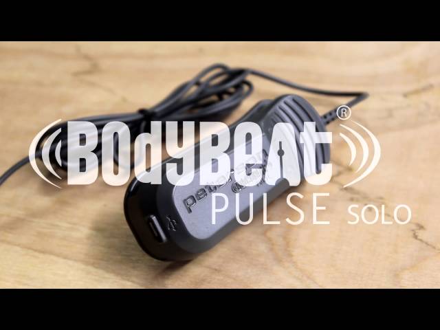 peterson bodybeat pulse solo metronome