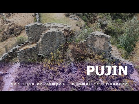 Pujin - Caminata Parte 1
