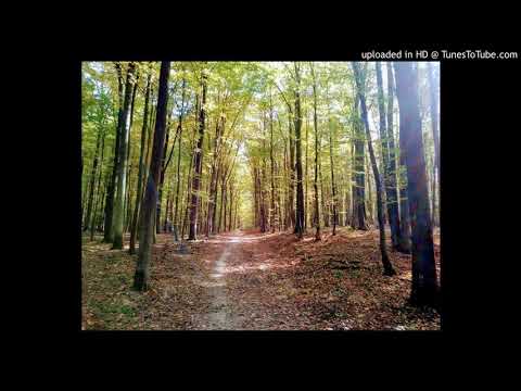 Mihajtoma - Nie po mojej myśli // 2019r.