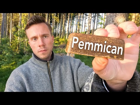 Pemmican Recipe - Best Carnivore Survival Food