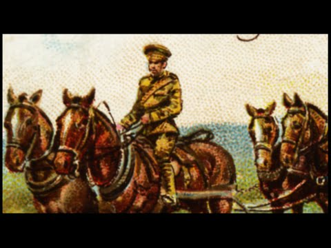 WW1 In Color - Cavalry Charge - Horse Massacre