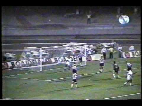 1995 XV de Piracicaba no campeonato paulista