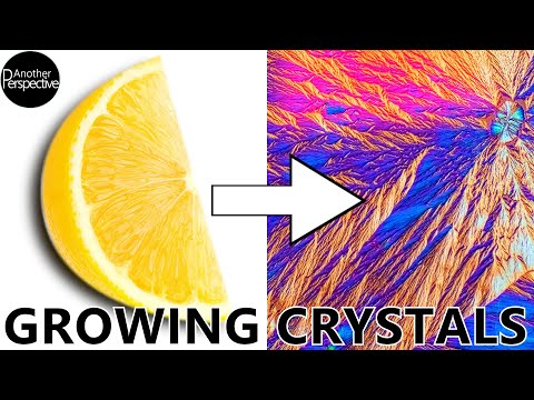 What Does Vitamin C Look Like Under a Microscope?