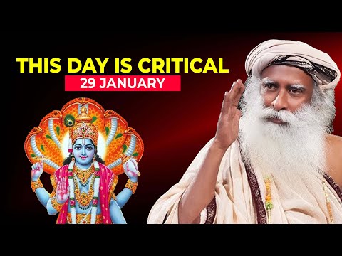 Sadhguru Darshan and The ShivaYogi