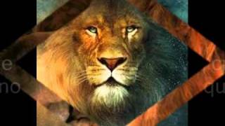 il leone e la leoness_0001.wmv