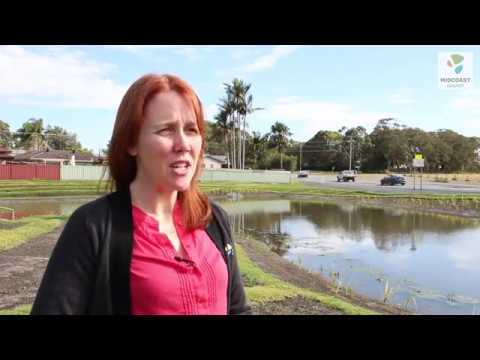 Building a Constructed Wetland in Forster