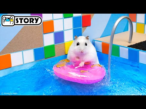 The Awesome Hamster Ball Pool Maze ???? Homura Ham Pets