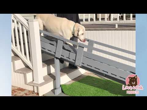 Ruff Ramp   Large Dog Demo