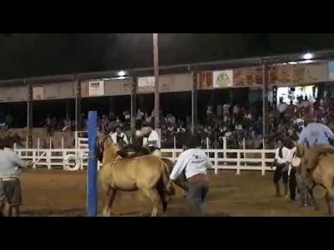 Rafael Cardoso x Aporreado Almaden Tropilha Sinuelo de Bagé, Caçapava/RS