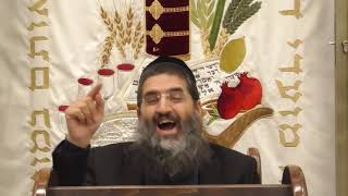 הרב אופיר טנג'י - נק' בפרשה - פרשת אמור - מה מעכב את הגאולה ?!