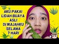 Membuat masker dan losion pelembab kulit dan wajah 