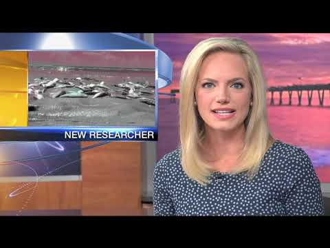 Video: ABC 7 News at 6pm - Wednesday November 14, 2018