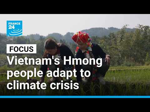 Vietnam's indigenous Hmong people forced to adapt to climate crisis