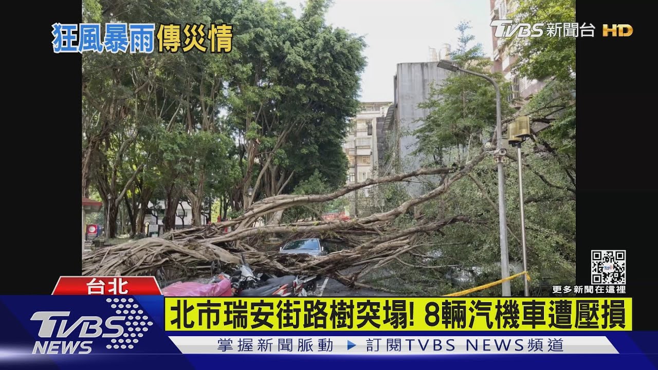 北市瑞安街路樹突塌! 8輛汽機車遭壓損