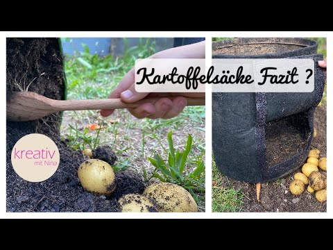 Experience with grow bags 🙋‍♀️ Growing potatoes and more 🥔 🪴😜👍🏻 Self-sufficiency in vegetable gar...