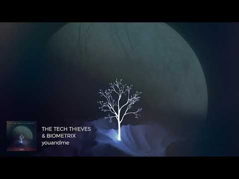 The Tech Thieves & Biometrix - youandme