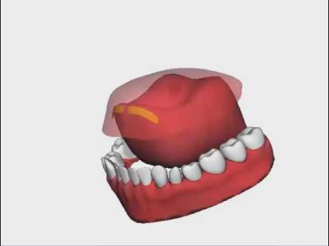 الراء المفخم  harf ra ( ر ) ra ; ru - krupan izgovor