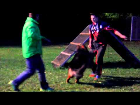 FANTOM team'd Ulmental