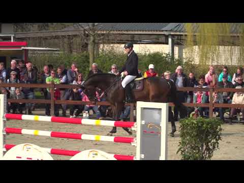 09 Balous Bellini 1408749