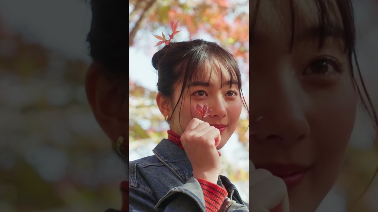 AQUOS 4SEASONS JOURNEY -晩秋- #shorts