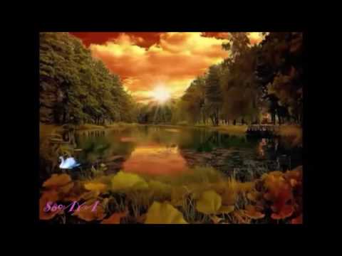 ناسر ڕەزازی - هەر تۆم دەوئ