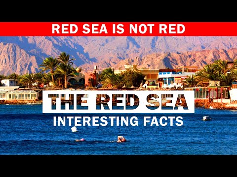 13 Fascinating Facts About The Red Sea