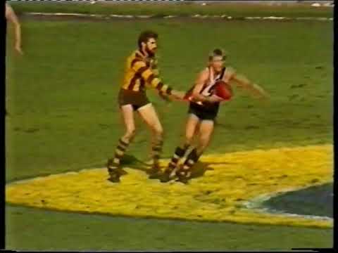 1986 Round 15 Hawthorn v St Kilda at Princes Park 2nd Quarter