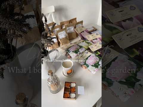 夏のカラフルな庭園を彩るディプラデニア ディアマンティーナ