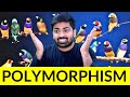 Java Polymorphism | The Most Misunderstood Concept in Programming | Java Mastery - 12